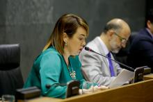 Ainhoa Aznárez, Presidenta del Parlamento, dando lectura a la Declaración Institucional aprobada por la Cámara