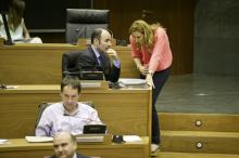 Manu Ayerdi (parlamentario no adscrito), Ana Beltrán (G.P. PPN)