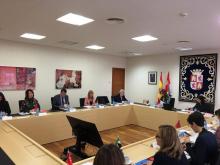 Un  momento de la reunión de trabajo celebrada en las Cortes de Castilla y León